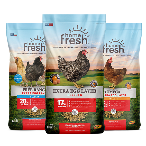 home-fresh-poultry-lineup