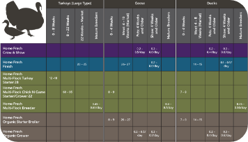 Turkey chart