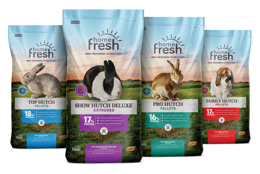 Rabbit food lineup