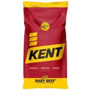 Baby Beef Creep