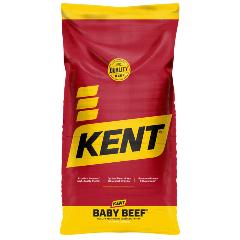 Baby Beef 34