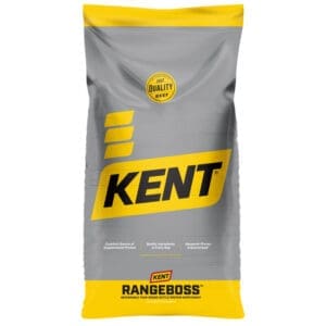 RangeBoss 20 AN Cube