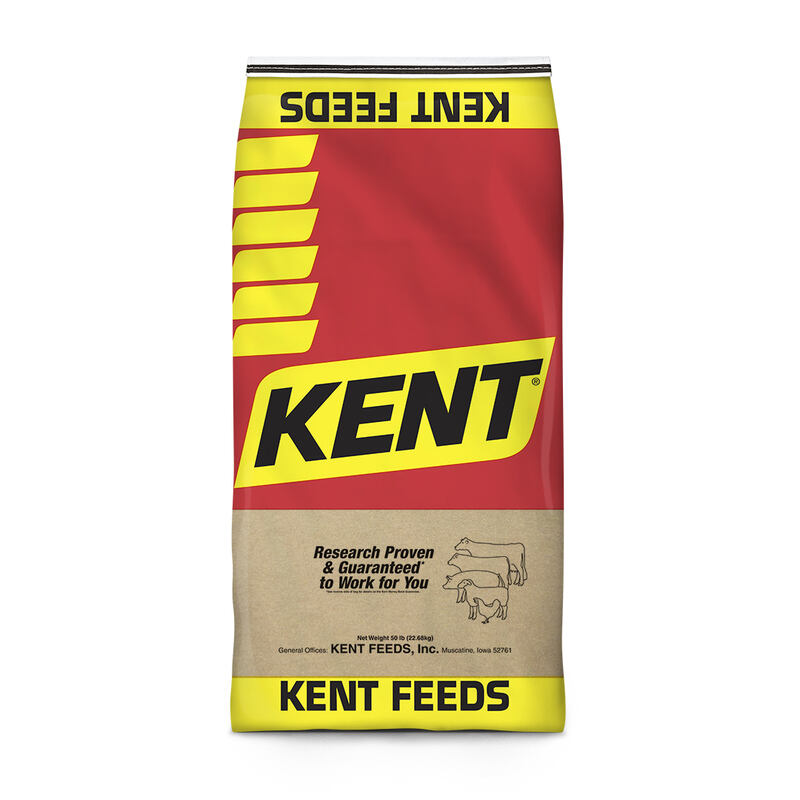 Kent Performance Primer