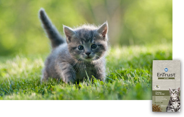 EnTrust Kitten Products