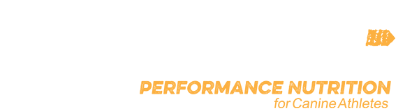 Native logo