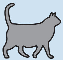overweight-cat
