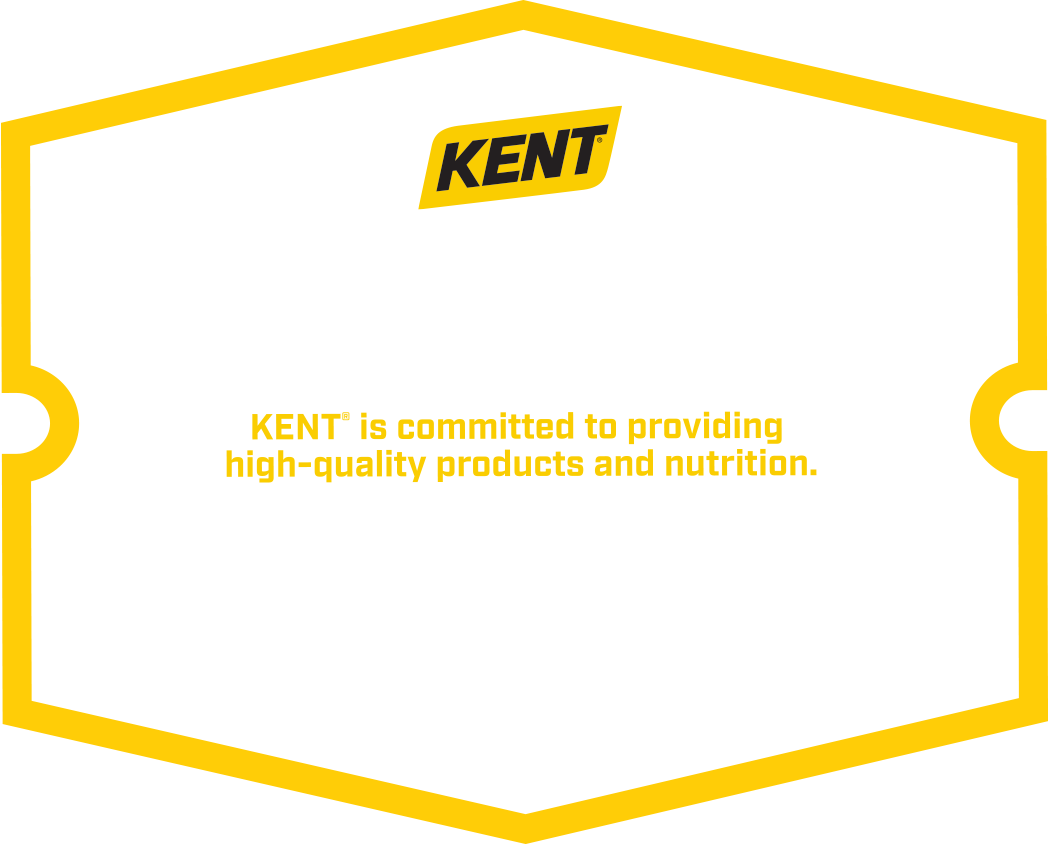 KQB Product Quarantee