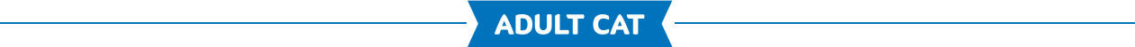 section-header_adult-cat
