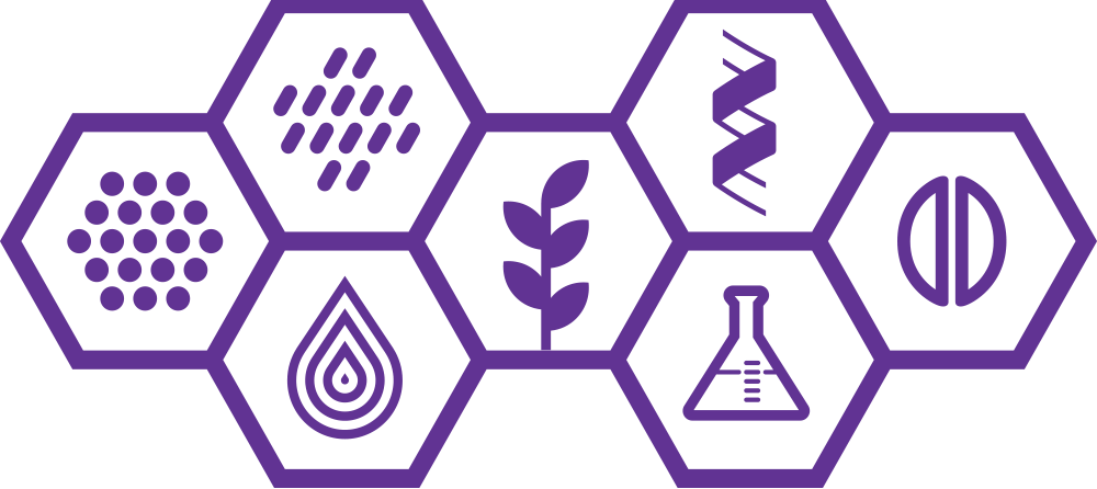 fixed-comp-formula-purple