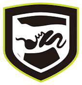 Digestive Health icon